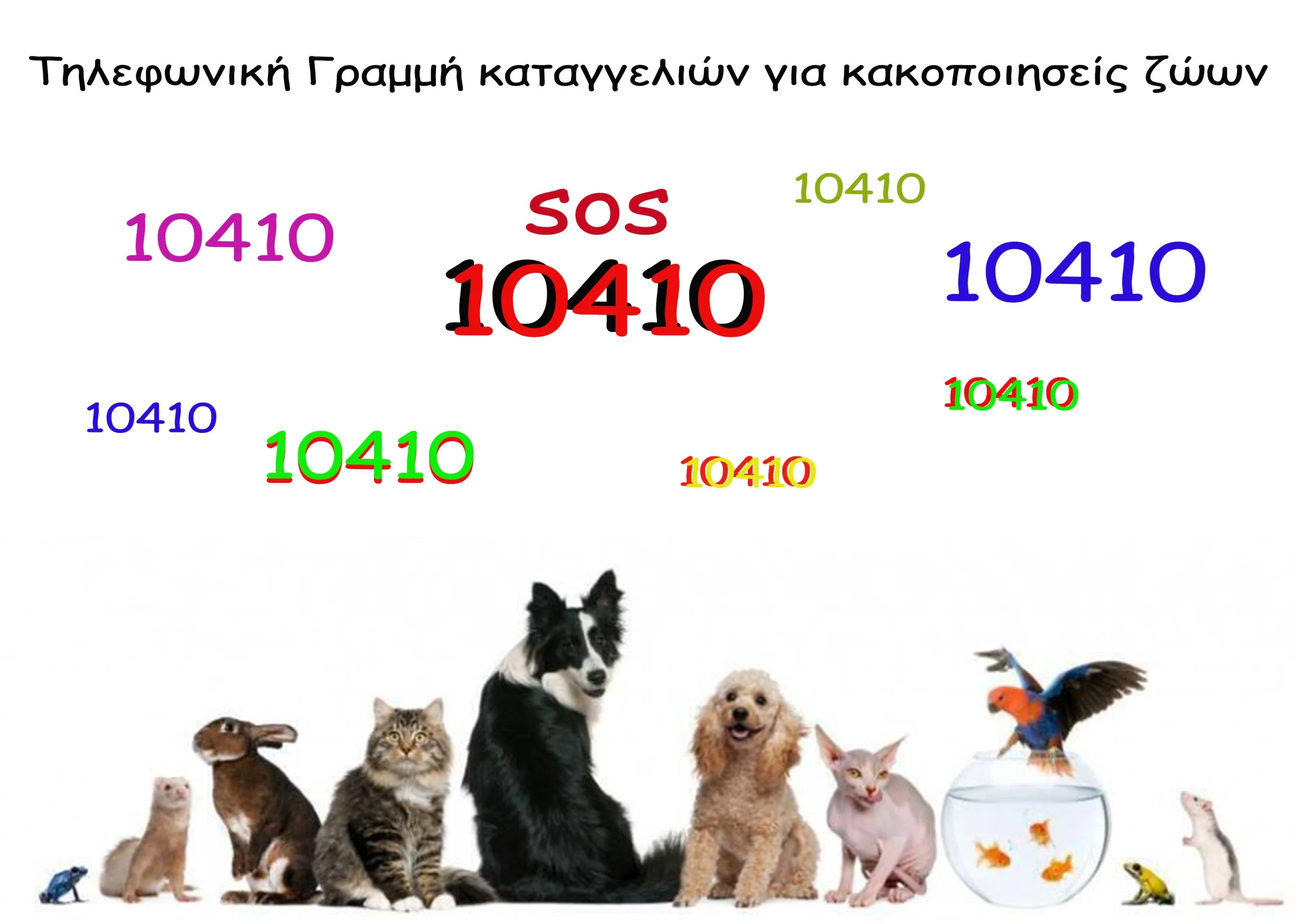 Τηλεφωνήστε 10410 — Η γραμμή για τα αδέσποτα
