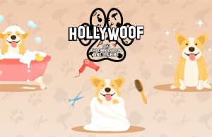 HOLLYWOOF Dog Grooming Salon & Training στην ΞΑΝΘΗ